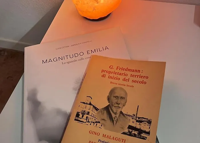Friedmann Modena *